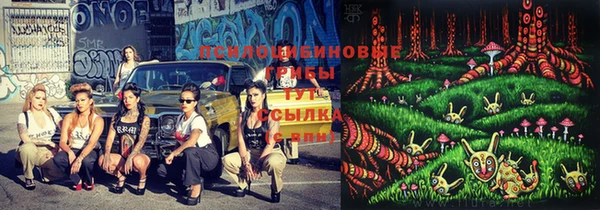 спиды Балахна