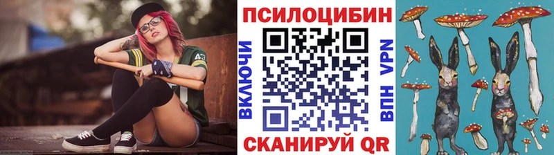 omg ТОР  Фокино  Псилоцибиновые грибы Psilocybe 